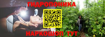 a pvp Ставрополь